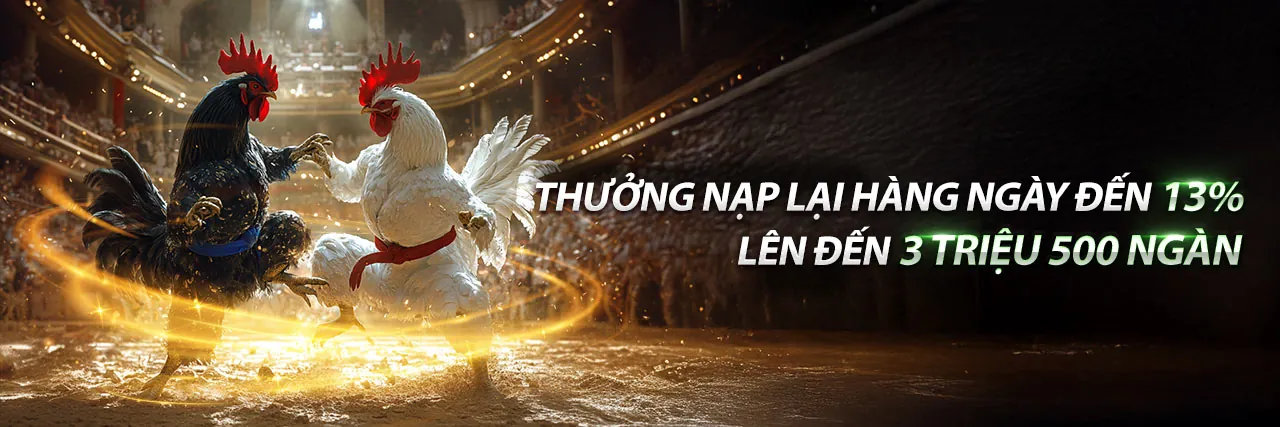 Trực tiếp đá gà 27/5/2024
